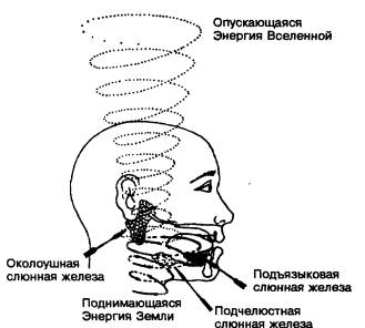  ТЕХНИКА СЛАДКОЙ РОСЫ (ПТИ—АЛЬ) Tsr1